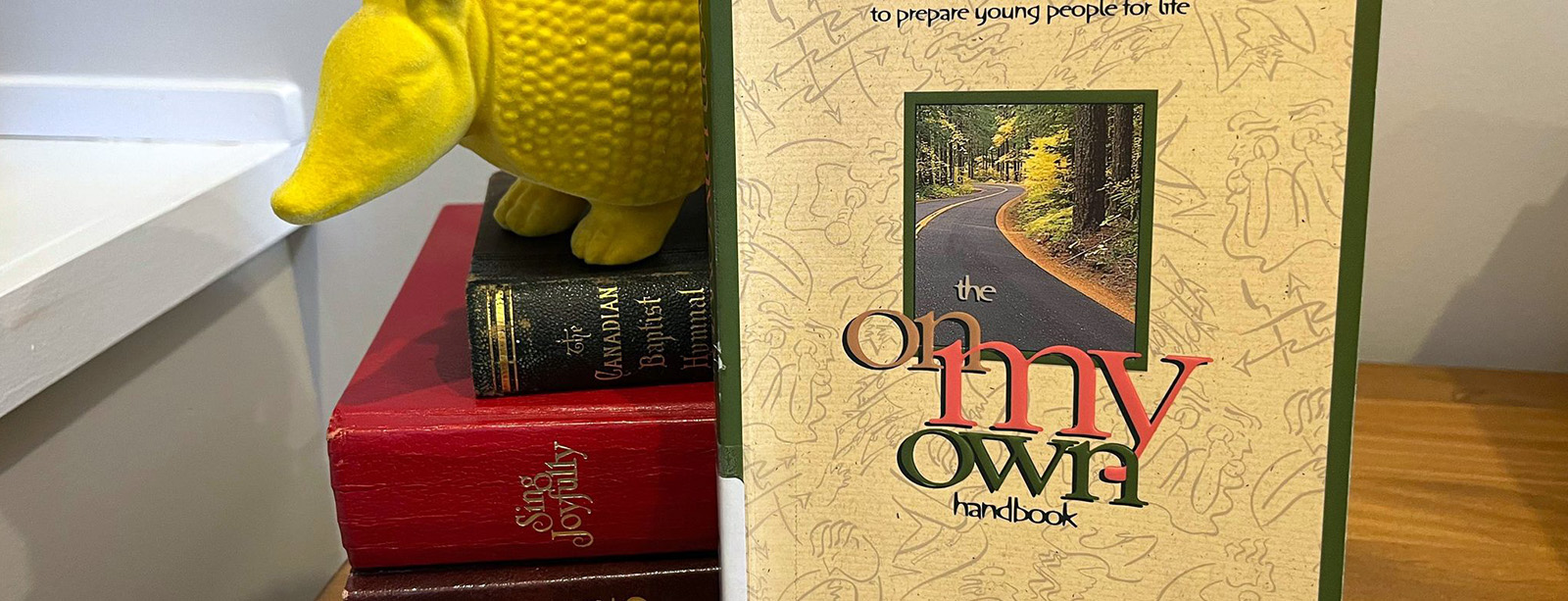 Life Advice and Secrets to Success